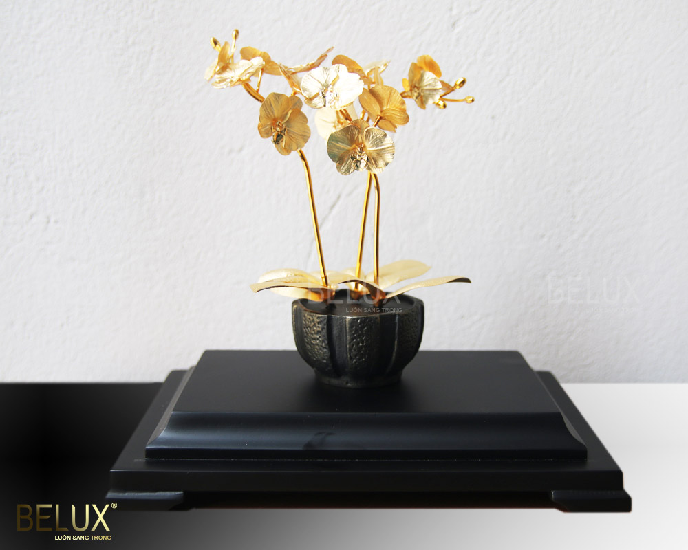 Chậu hoa lan hồ điệp mạ vàng 24k
