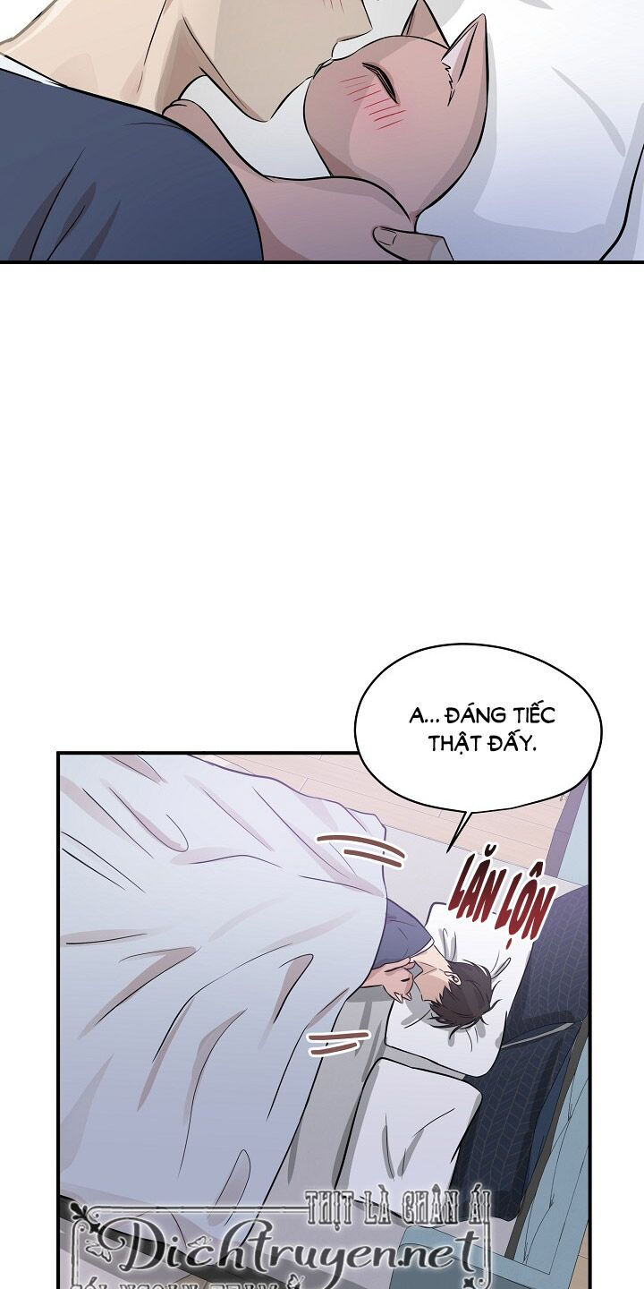 cuộc sống kỳ thú chapter 44 43