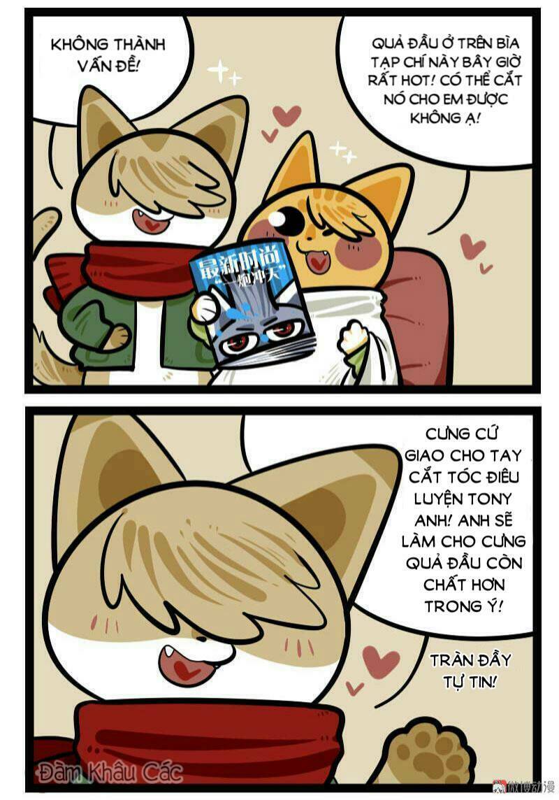 đời không như mình tưởng chapter 66 4