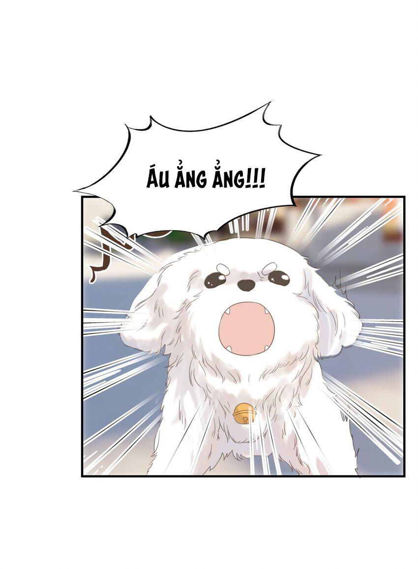 hình như cầm nhầm kịch bản của nữ chính rồi chapter 65 43