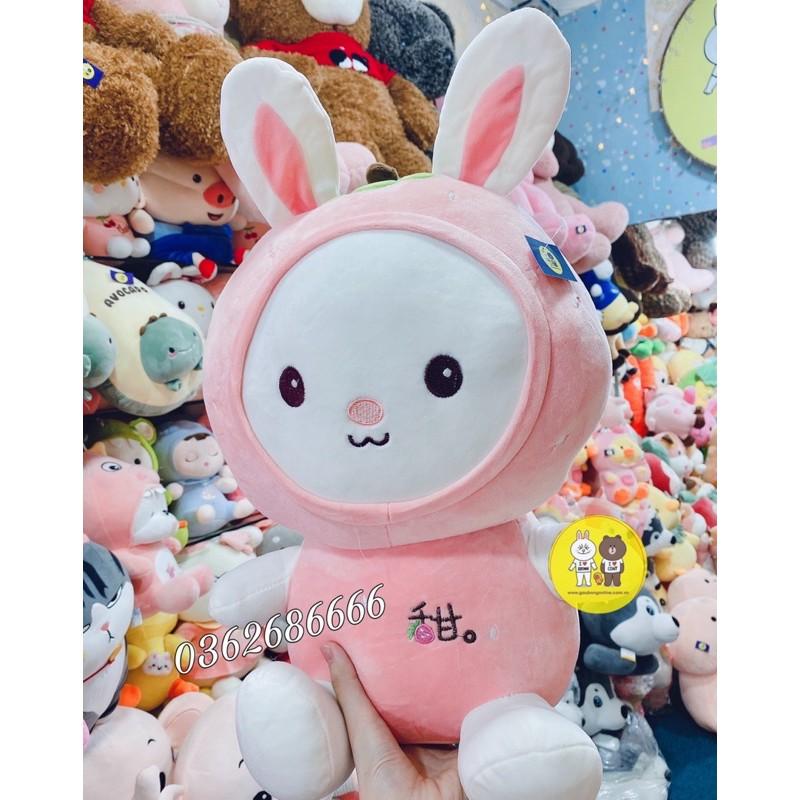 Gấu bông Thỏ Mèo hoa quả kích thước 50cm - Xưởng gấu bông Việt Nam