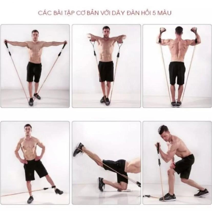 Bộ 5 Dây Ngũ Sắc Tập Full Body - Dụng Cụ Tập Gym.