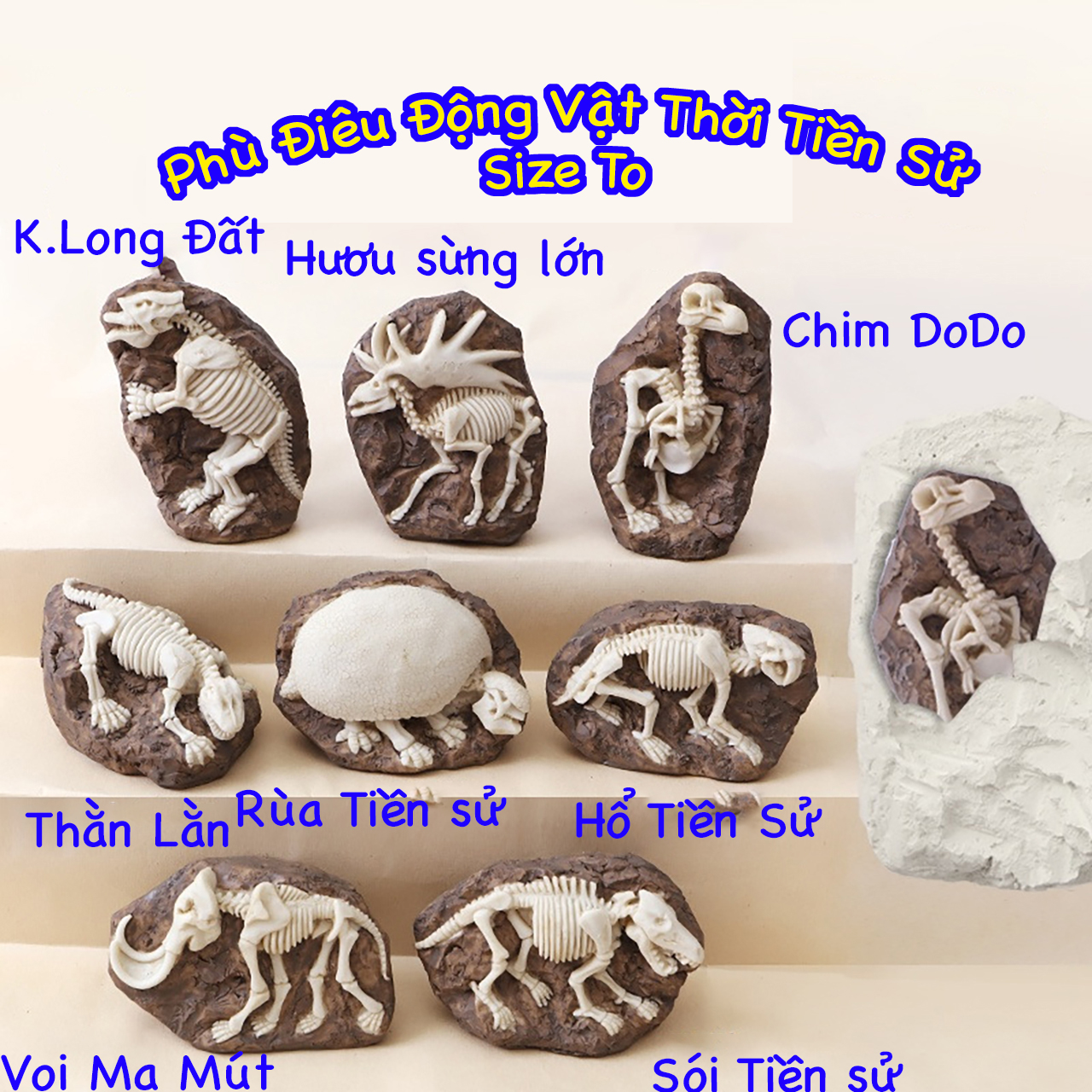 Phù điêu hóa thạch động vật thời tiền sử, Đồ chơi đào hóa thạch khủng long, Size to. Đồ chơi giáo dục, nghiên cứu khoa học.