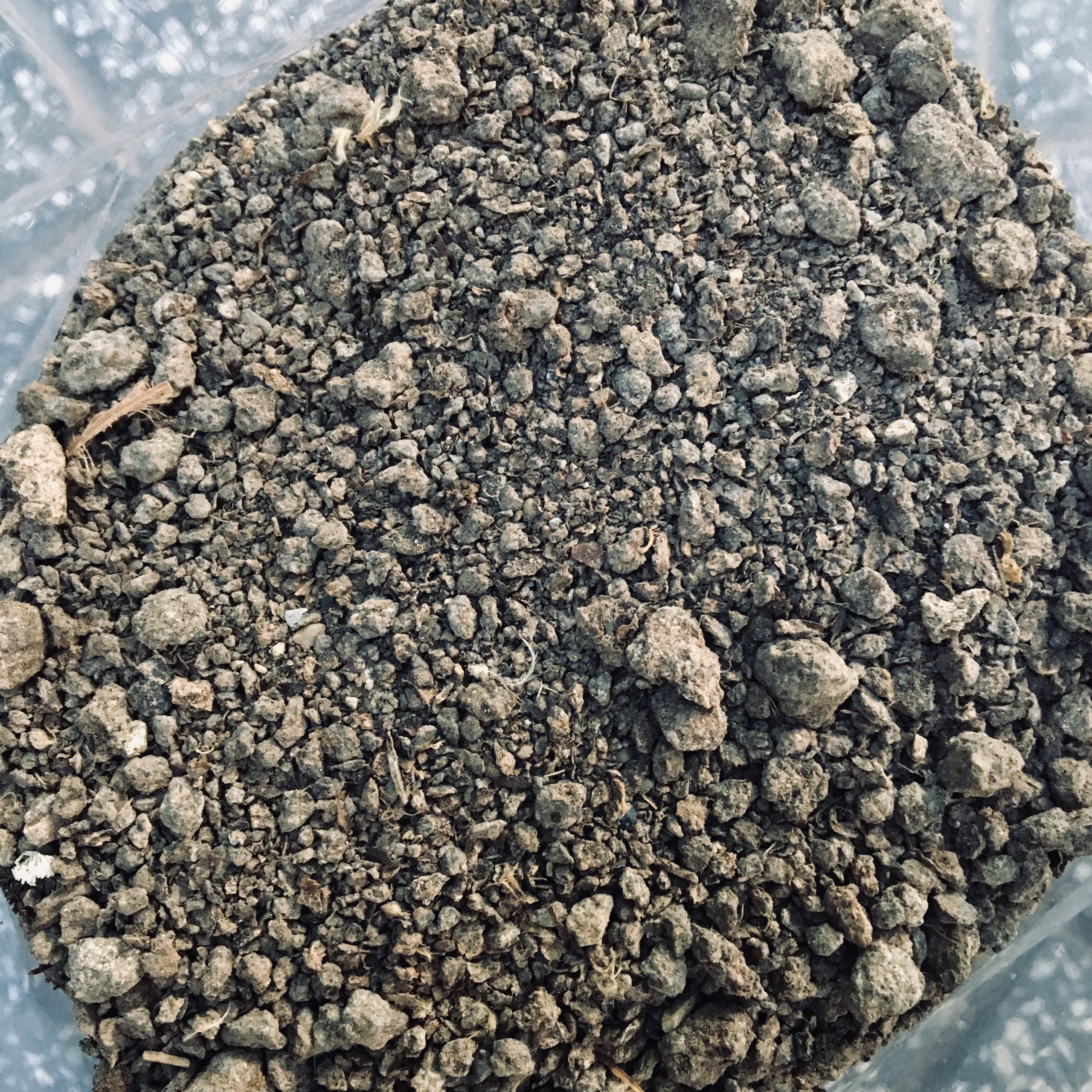 1KG PHÂN GÀ KHÔ NHẬT BẢN ĐÃ QUA XỬ LÝ - SẢN PHẨM Y HÌNH