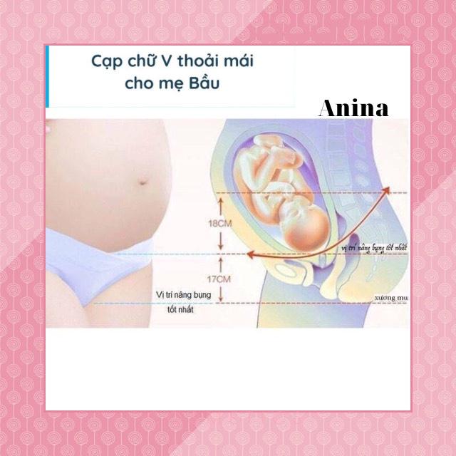 Quần lót bầu-quần lót cạp chéo chữ v cao cấp đẹp QL001