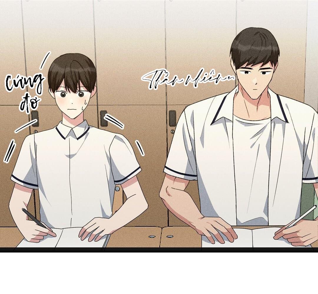 mảnh vụn chapter 8 56