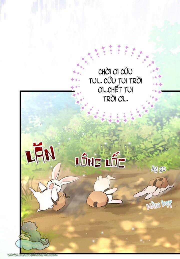 quan hệ cộng sinh giữa báo đen và thỏ trắng chapter 61 29