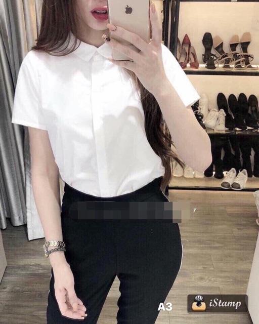 SOMI TRẮNG CỘC TAY ĐUÔI TÔM
