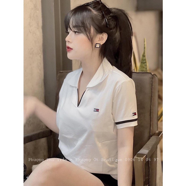 Áo thun nữ polo cổ V phối màu vải cá sấu mền mát, áo phông nữ cộc tay lỡ cổ bẻ cá tính