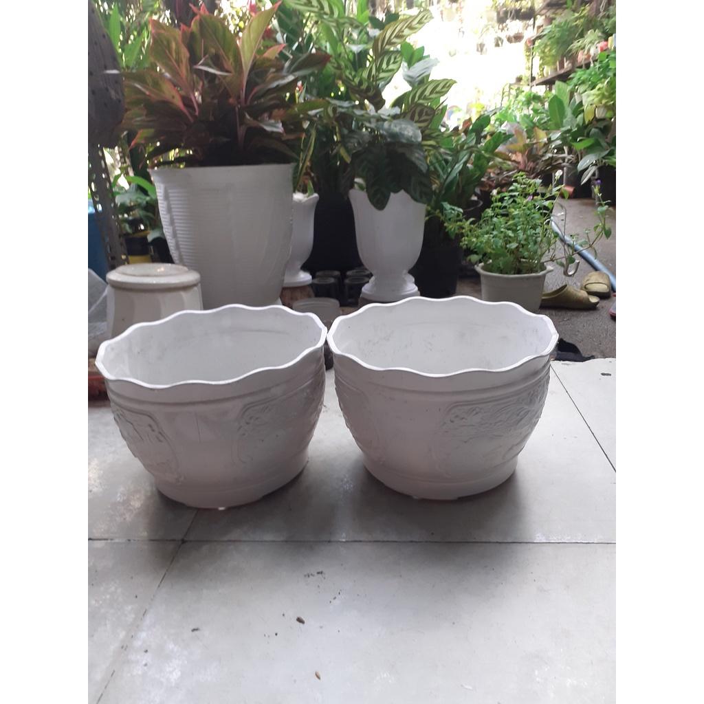 Combo 2 chậu nhựa tròn trồng cây