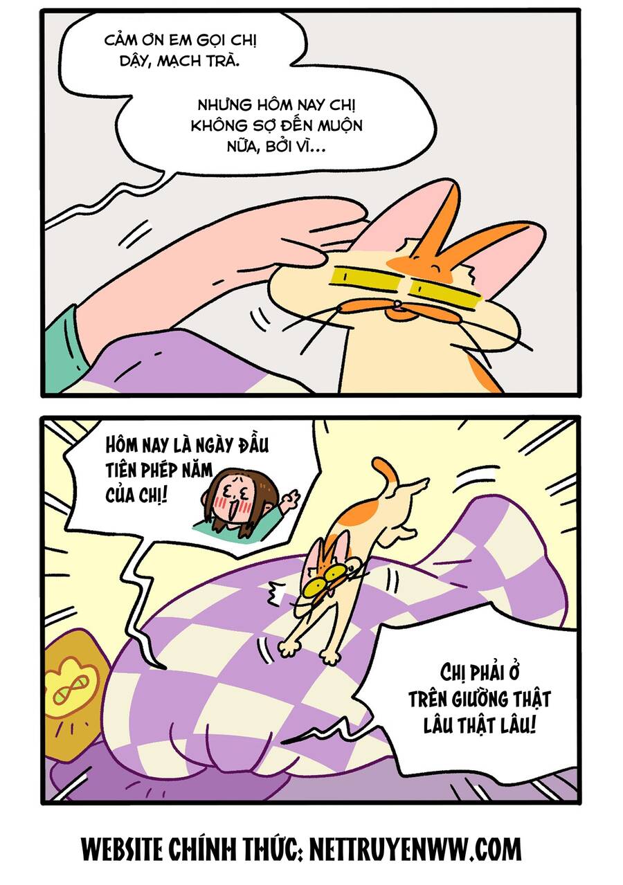 a mãn và mạch trà chapter 136 2