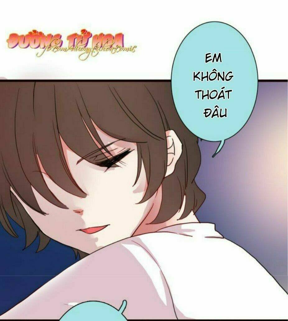 gấu nhỏ dư và thỏ thỏ hứa chapter 17 17