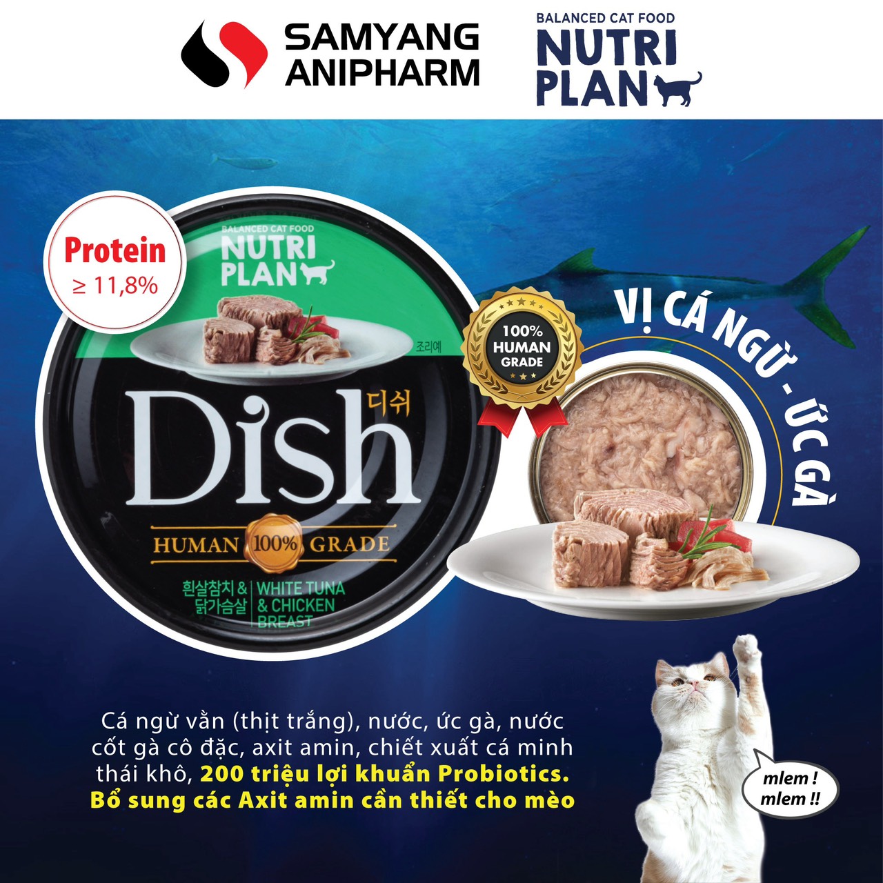 Pate cao cấp cho mèo Nutri Plan Dish 85g nhập khẩu Hàn Quốc