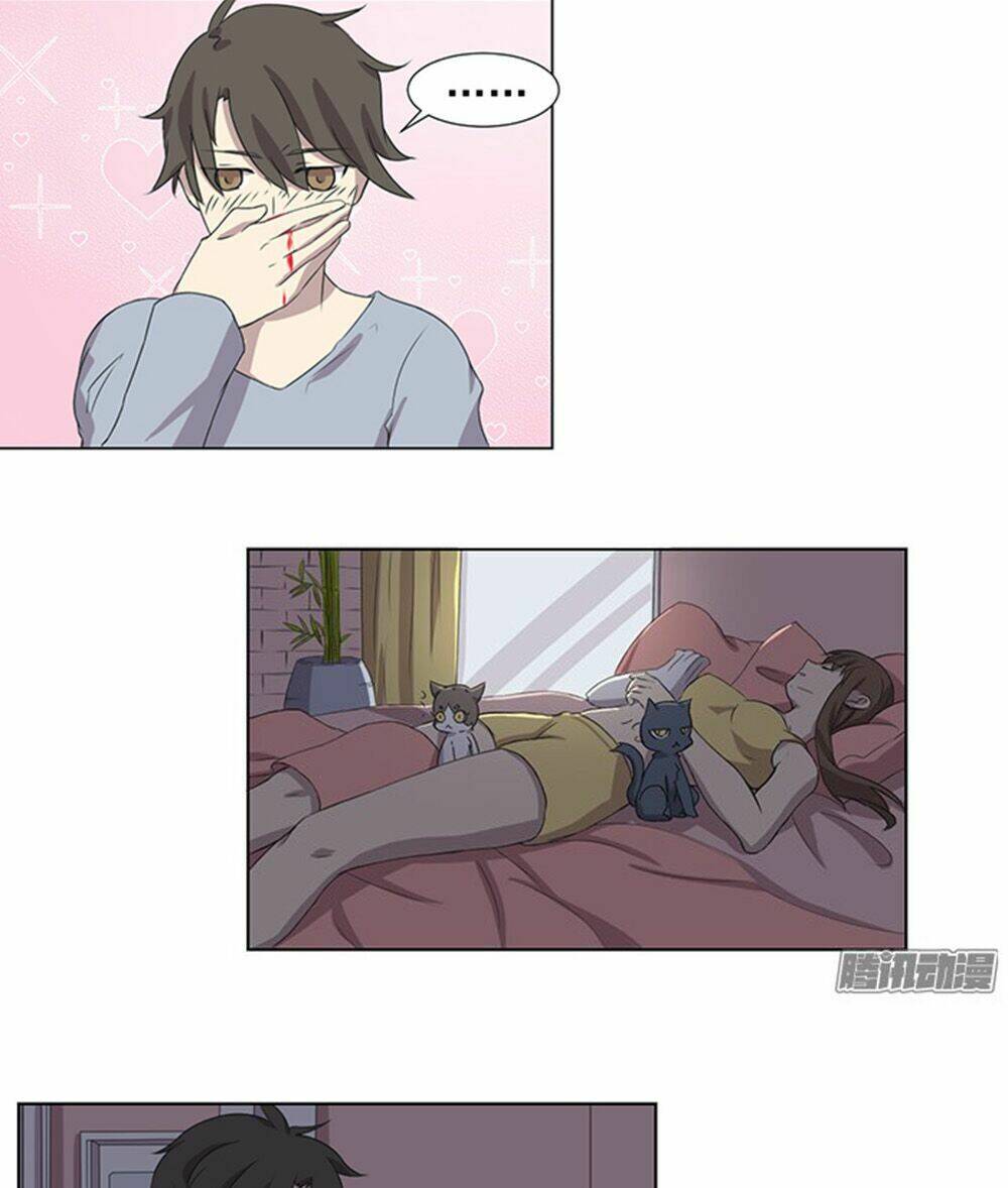 hai chú mèo totem chapter 33 16