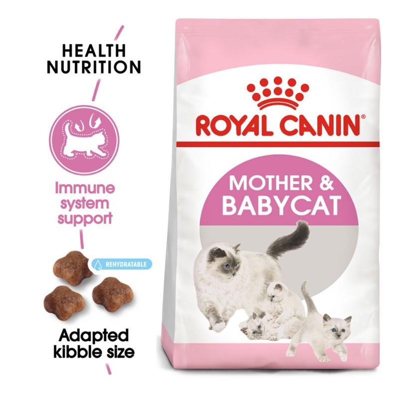 Hạt Mother &amp; Babycat Royal Canin dành cho mèo mẹ mang thai hoặc cho con bú, mèo con từ 1 - 4 tháng tuổi
