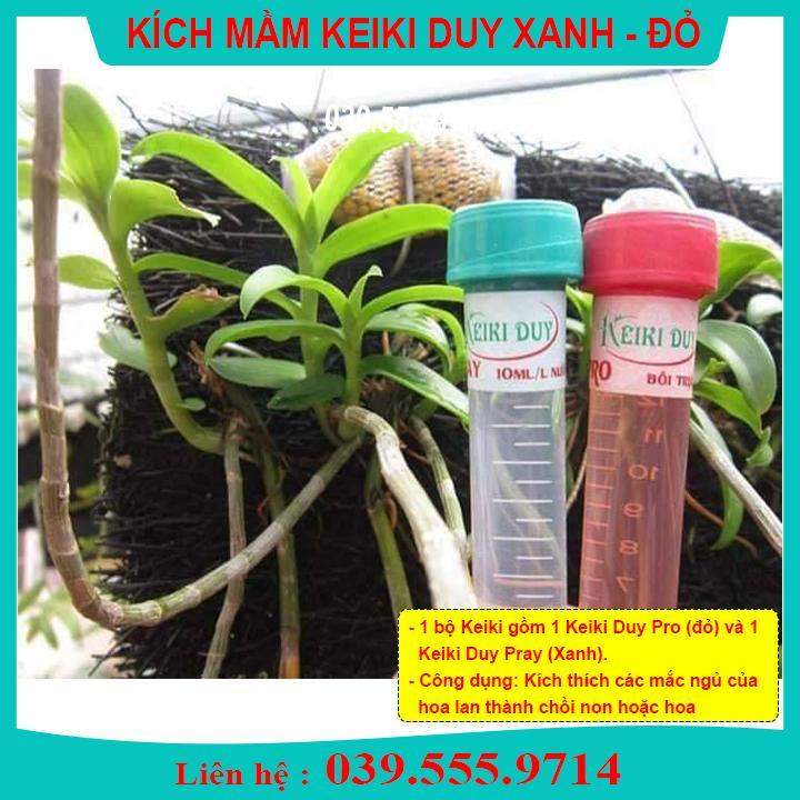 KÍCH MẦM KEIKI DUY PRO VÀ KEIKI DUY PRAY - GIÚP KÍCH MẦM