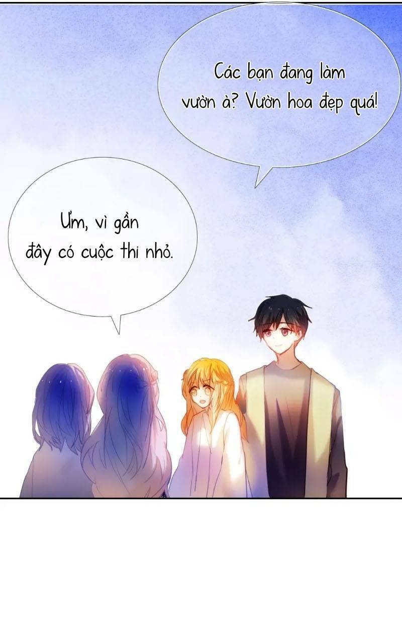 kế hoạch trái tim chapter 41 41