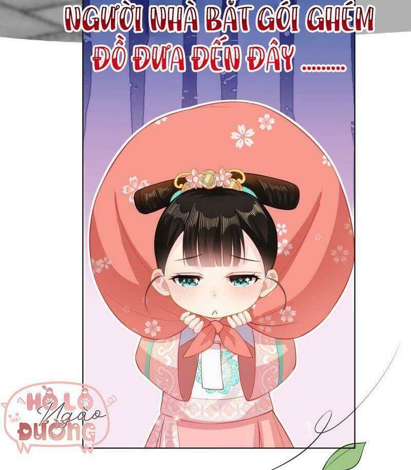 quận chúa vững vàng, thiết lập nhân vật không thể vỡ chapter 24 25