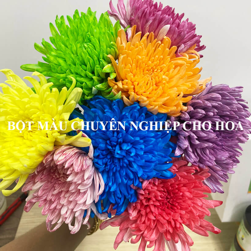 BỘT NHUỘM HOA TƯƠI CHUYÊN NGHIỆP GIÚP ĐỔI MÀU HOA CẮT CÀNH NHẬP KHẨU ẤN ĐỘ (HỦ 110GR pha 12L nước nhuộm hoa tươi)