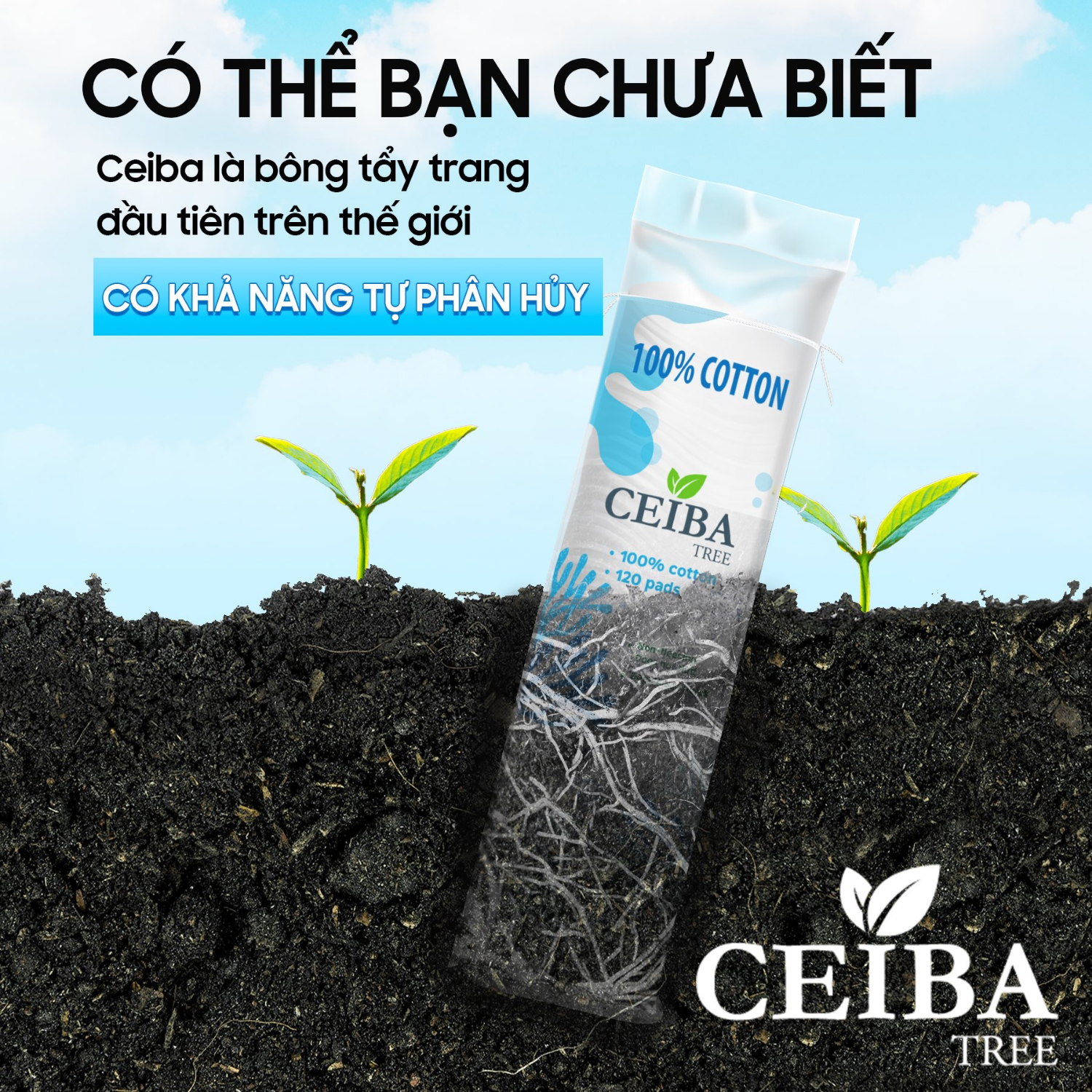 Bông Tẩy Trang Ceiba Tree Organic Pháp 100% Chất Liệu Cotton 120 Miếng