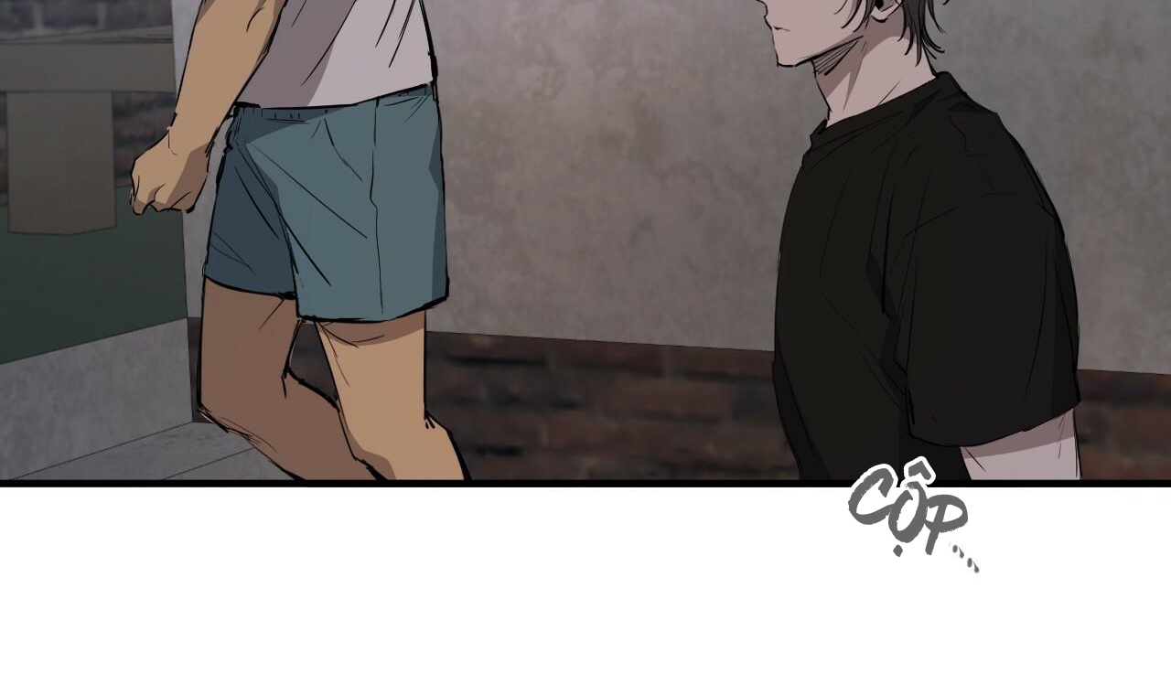 những chú thỏ của hapypy chapter 51 279