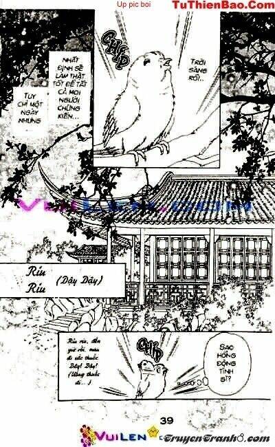 đóa hoa yêu kiều chapter 1 40