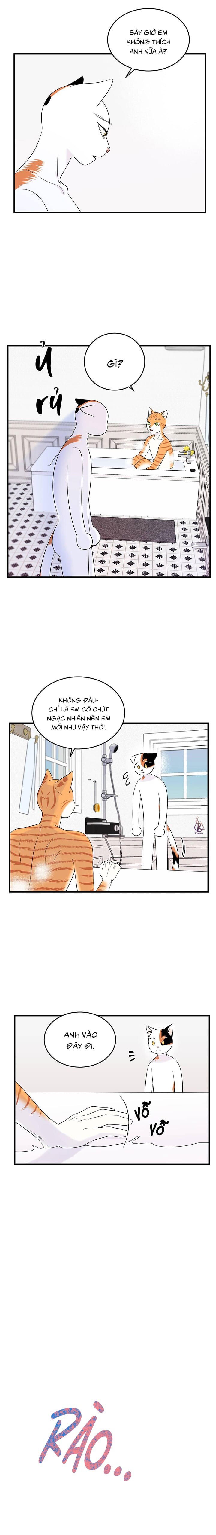 dự án xanh chapter 38 3