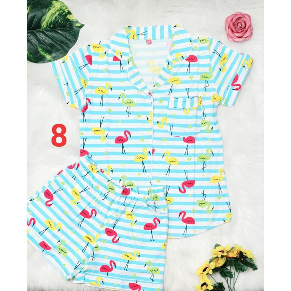 Bộ thun cotton xịn đủ kiểu, quần có túi, ảnh thật