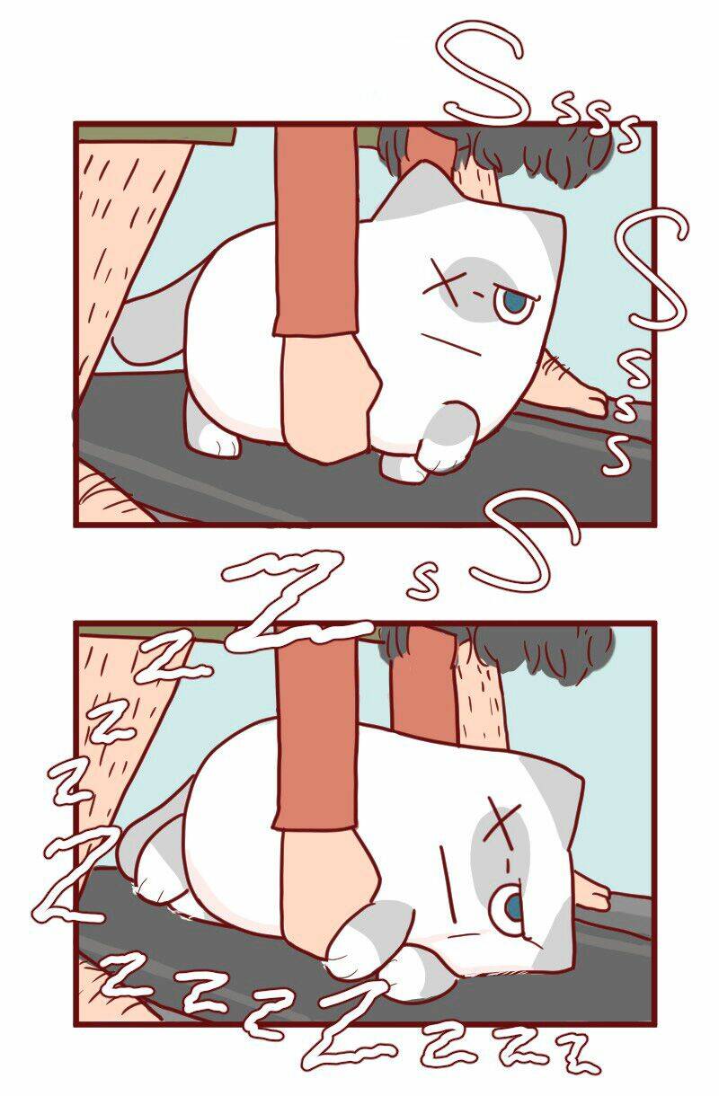 saphie: chú mèo một mắt chapter 12 11