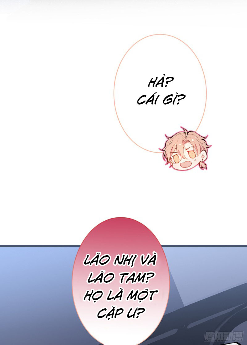 lại bị nam thần chọc trên hot search! chapter 18 17