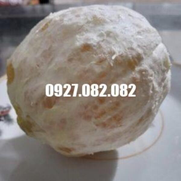 Cây cam vàng mỹ