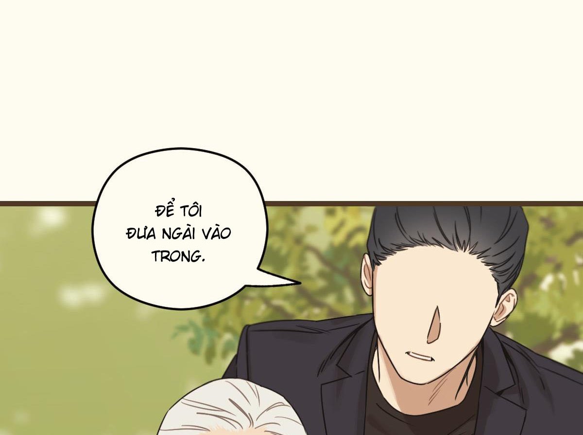 tương phùng chapter 37 131