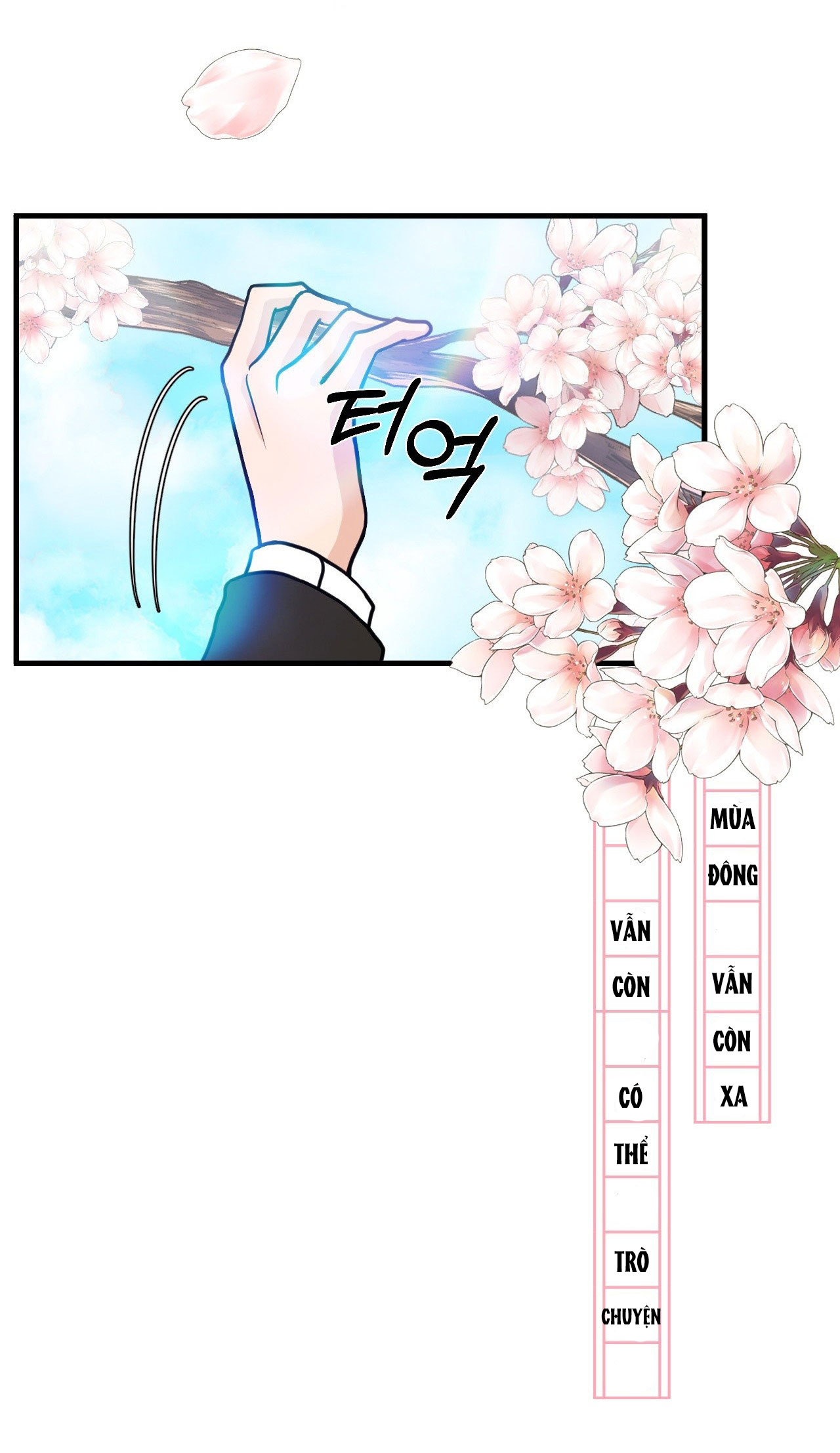 [15+] hoa vẫn chưa nở chapter 1.1 5