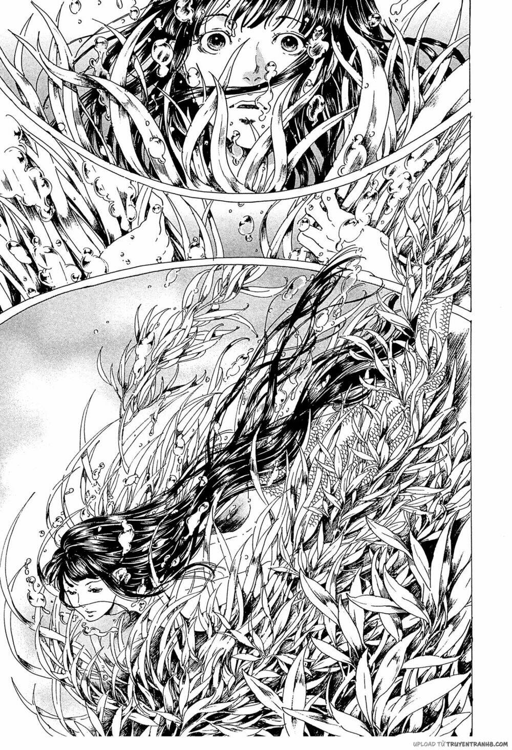 adekan chapter 35 12