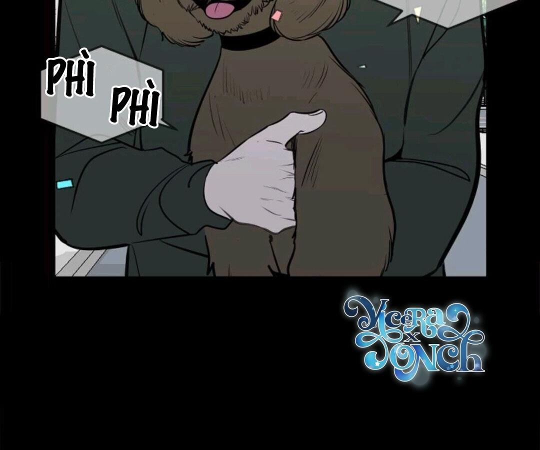 hiệu quả kinh doanh chapter 16 62