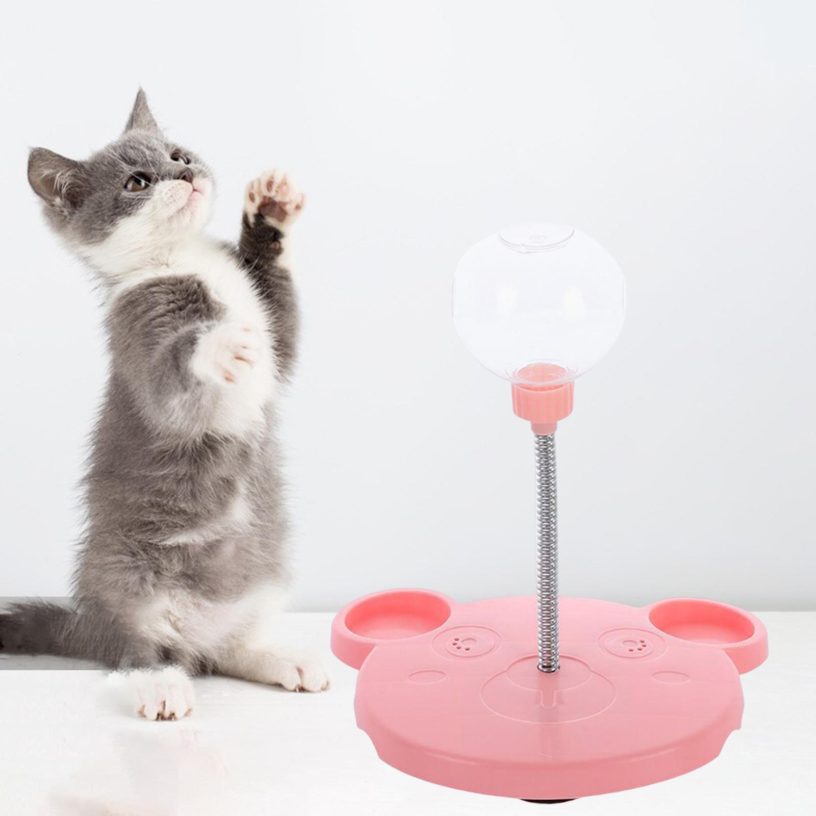 Cat Slow Feeder Toy for Pet Training Exercise