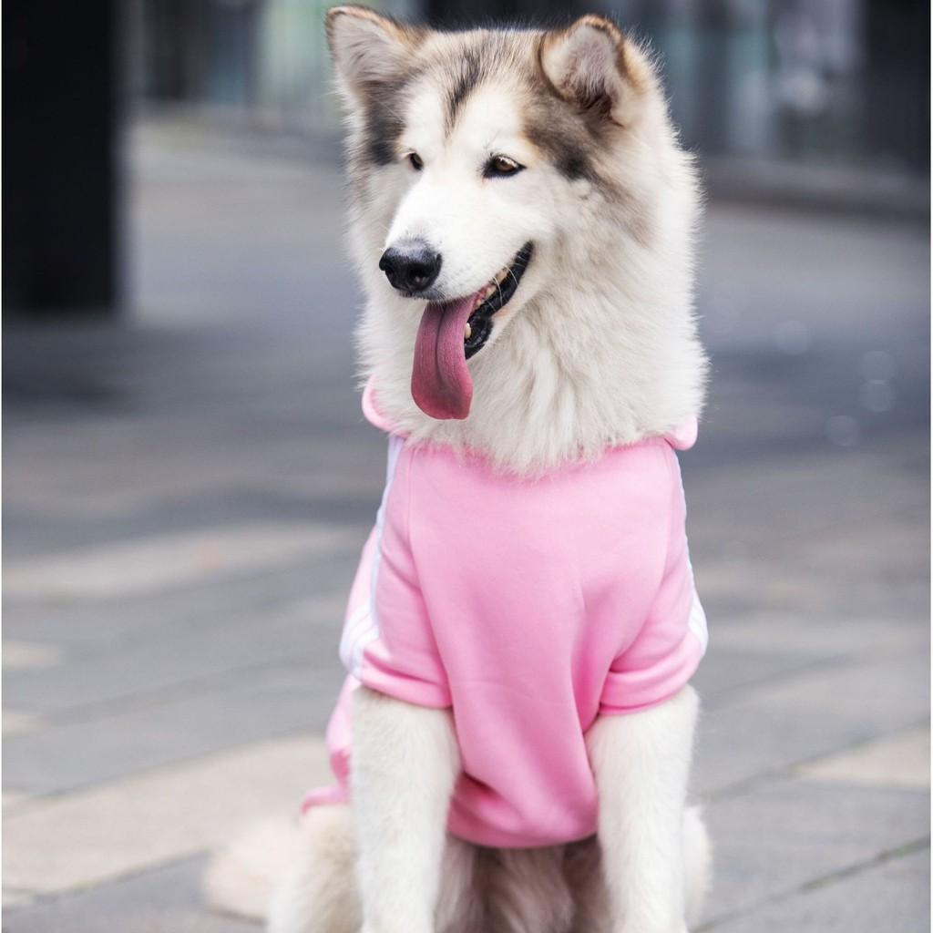 Áo nỉ, áo adidog dành cho chó lơn, mẫu mã đa dạng - AT10-8 (inbox chọn mẫu và size)