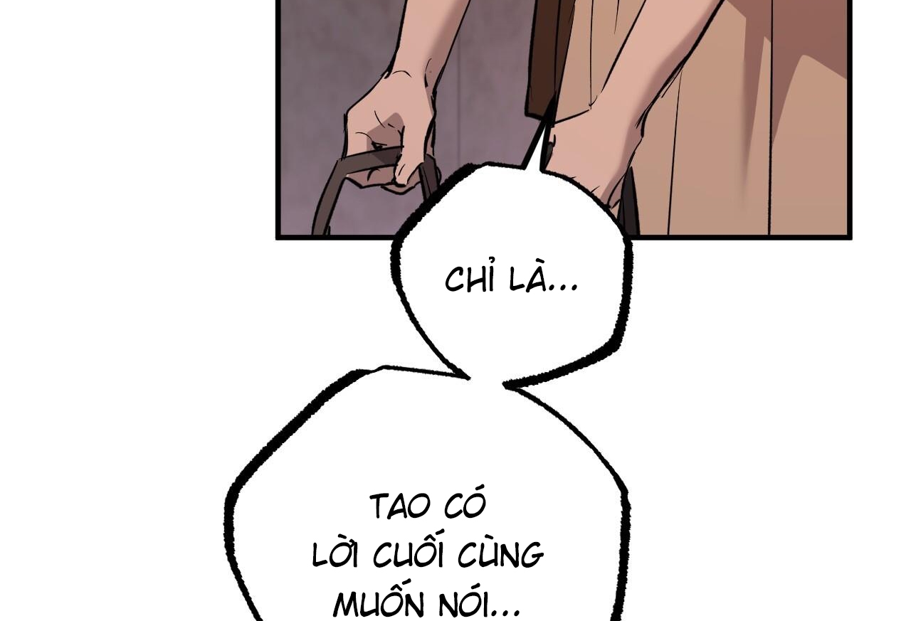 những chú thỏ của hapypy chapter 57 19