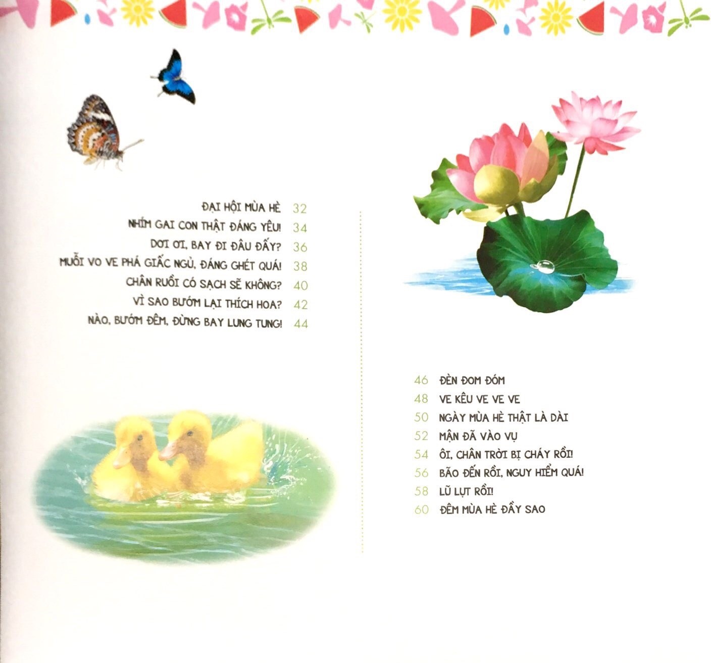 Em Yêu Thiên Nhiên Bốn Mùa - Mùa Hè - Ếch Kêu Râm Ran - ML