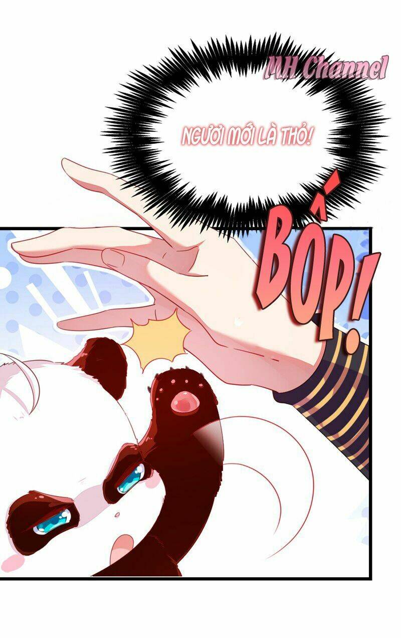 thiên thần gấu trúc muốn được ôm chapter 11 13