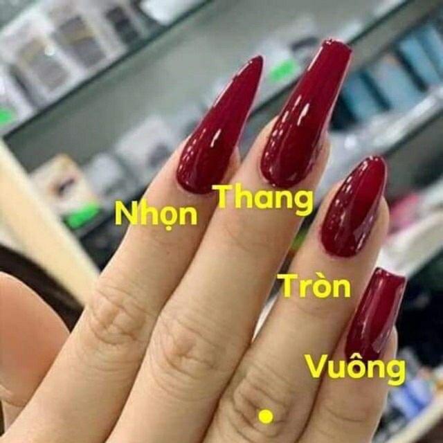 Móng úp HSM VUÔNG, NHỌN, THANG