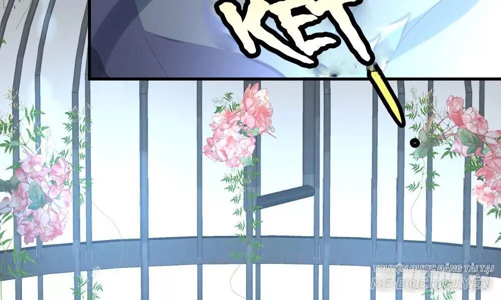 thái tử phi nhà ta thật hung hăng chapter 27 46
