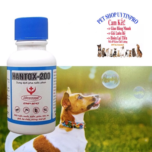 Dung dịch pha nước phun Hantox-200 Chai 100ml Diệt ve, rận, bọ chét, ghẻ, kiến, gián, ruồi, muỗi, mòng, mạt gà Sx tại VN