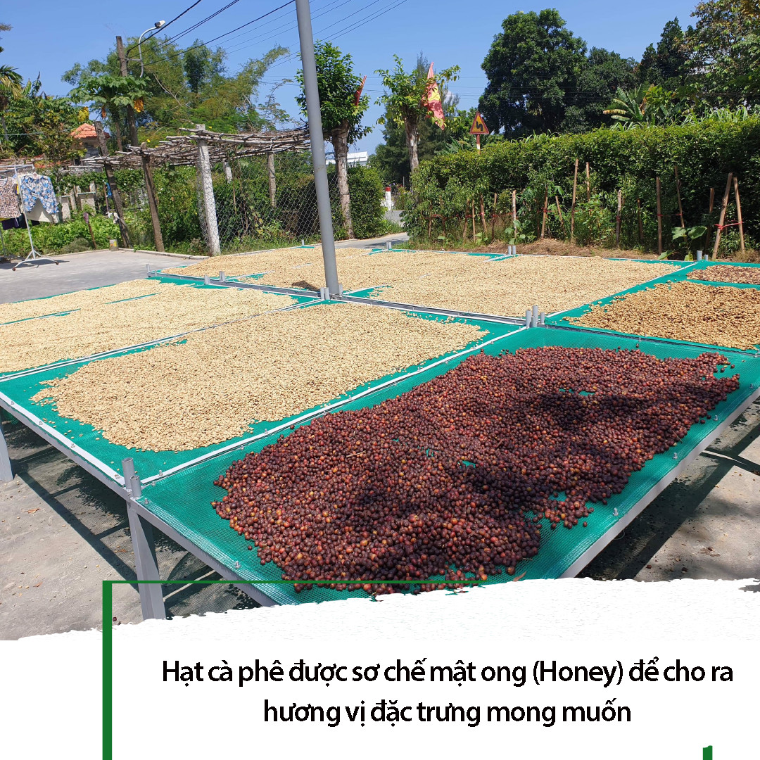 Cà phê hoà tan Cố Đô gu thơm 3in1 (hộp 10 gói x 22g)