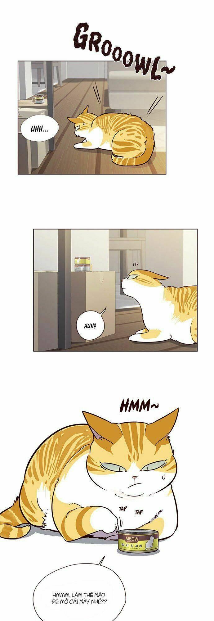 biến thân thành mèo chapter 6 40