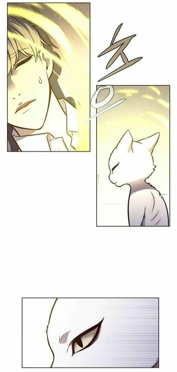 biến thân thành mèo chapter 144 3