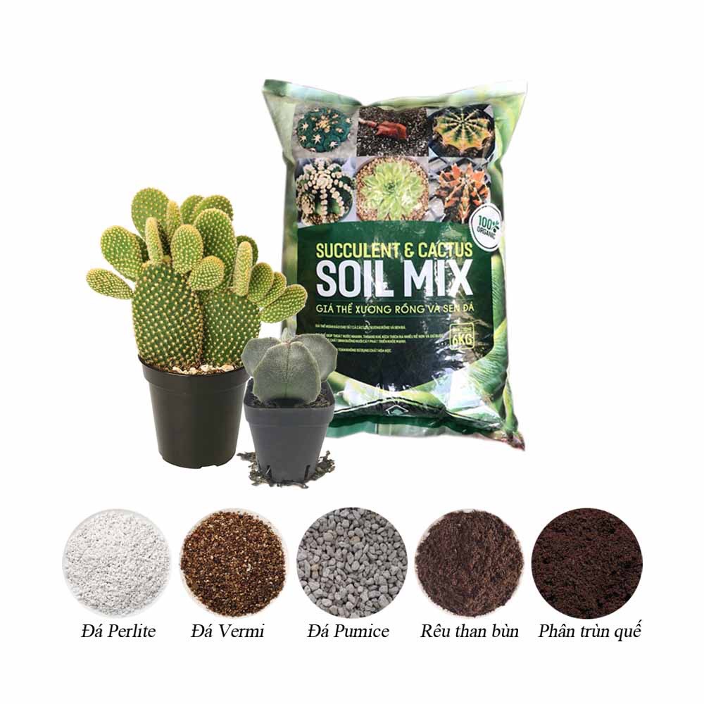 Giá thể trồng sen đá, xương rồng cao cấp Soil Mix bao 6Kg