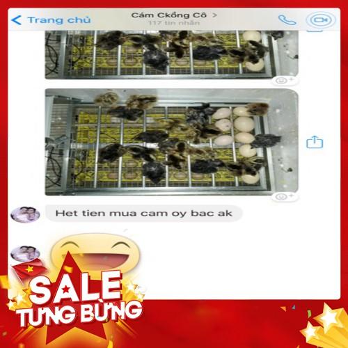 Khay Đảo Trứng Tự Động 108 Trứng