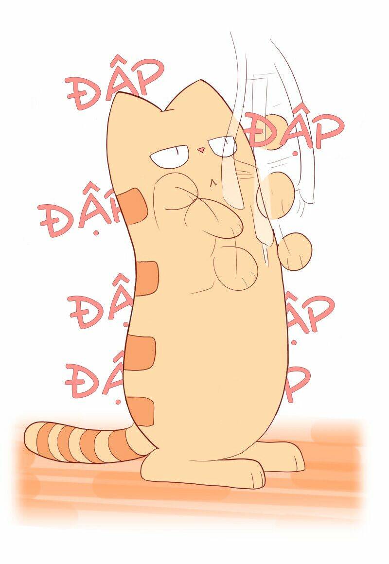 saphie: chú mèo một mắt chapter 5 12