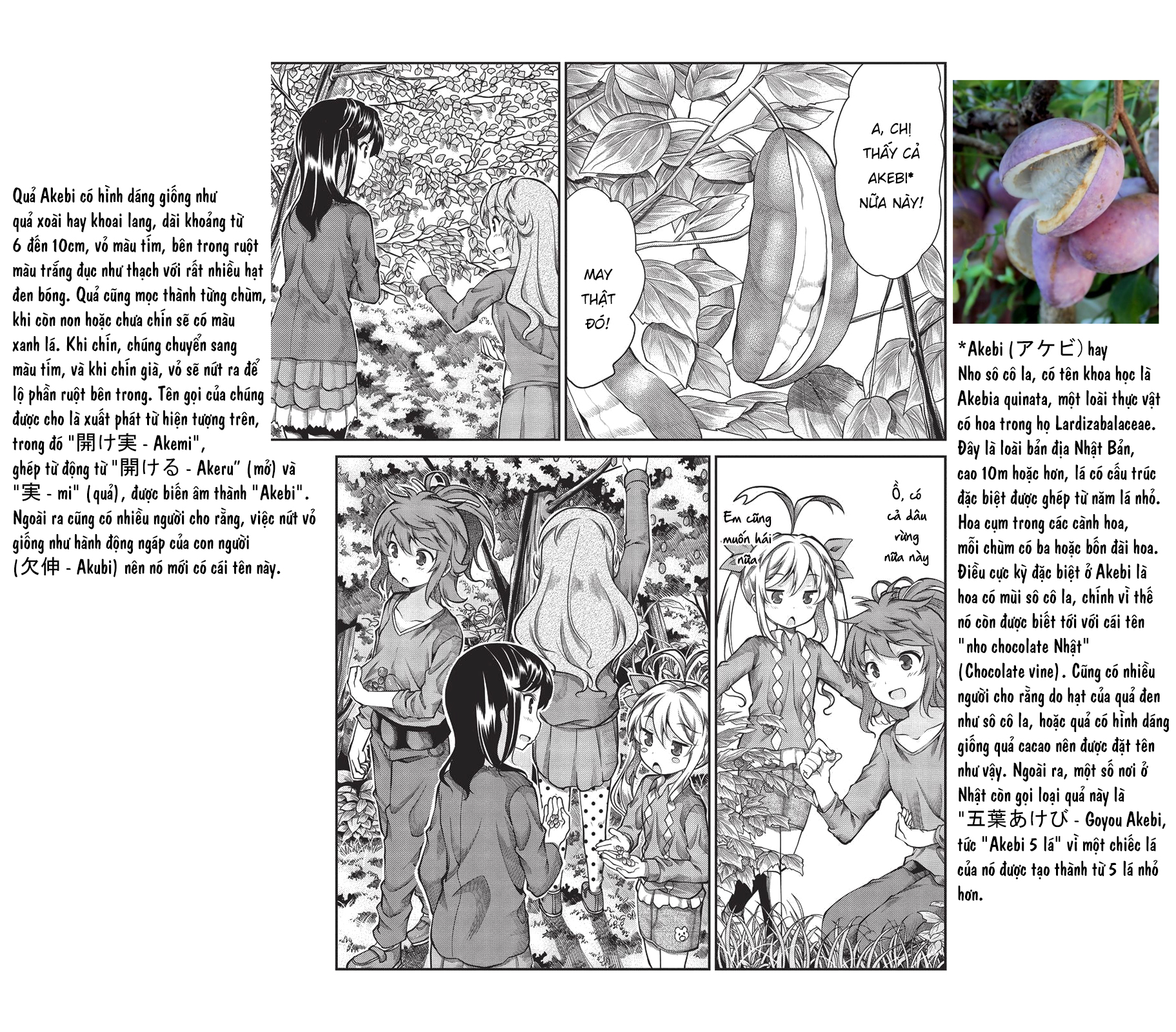 non non biyori chapter 60 9